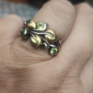 Elegant Eternity Band 18k and SS  7